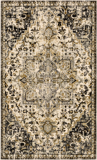 Karastan Tempest Perception Midnight Area Rug Main Image