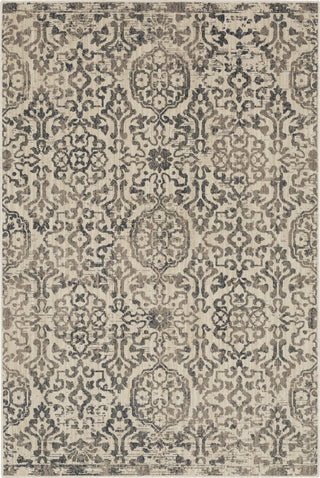 Karastan Relic Pompeii Grey Area Rug Main Image 