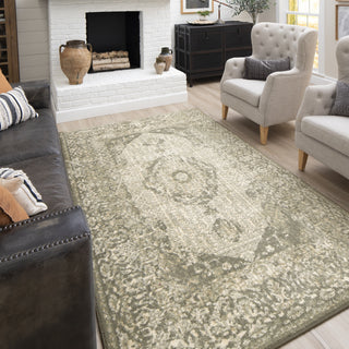 Karastan Artisan Prestige Willow Grey by Area Rug Scott Living Room Scene 2 