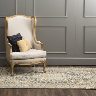 Karastan Titanium Regency Charcoal Area Rug Main Image