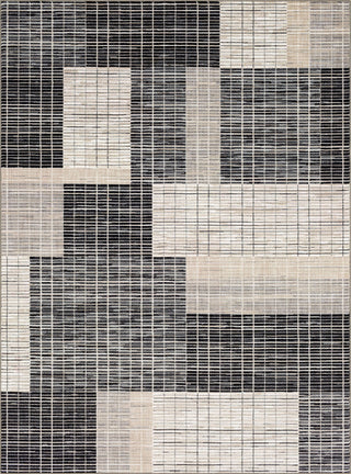 Karastan Vanguard by Drew and Jonathan Home Resolute Frost Grey Area Rug Main Image 