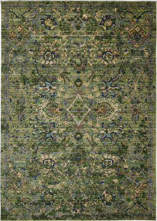 Karastan Bravado Bahadir Sage Area Rug main image