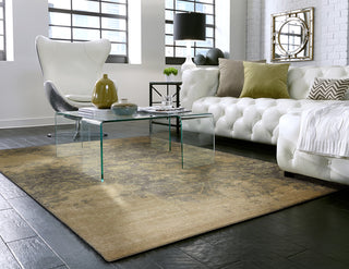 Karastan Evanescent Bari Gray Area Rug Room Scene Feature