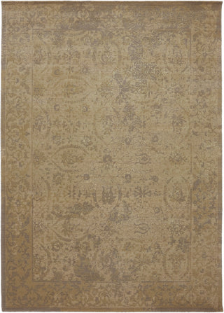 Karastan Evanescent Terni Light Area Rug main image