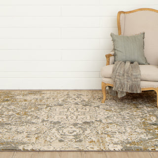 Karastan Touchstone Sabine Bronze Area Rug Room Scene 2 