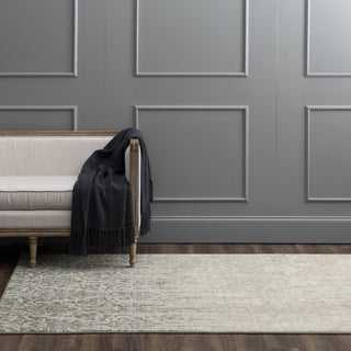 Karastan Tiberio Gray Rug  Image