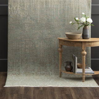 Karastan Titanium Tiberio Seaglass Area Rug Featured Image