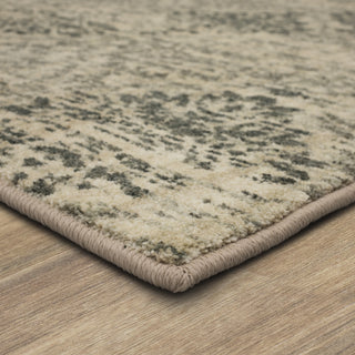 Karastan Euphoria Wexford Sand Stone Area Rug Main Image