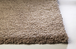 KAS Bliss 1551 Beige Shag Area Rug Corner Image