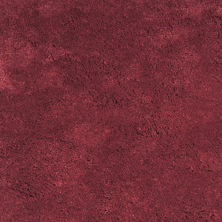 KAS Bliss 1564 Red Shag Area Rug Lifestyle Image