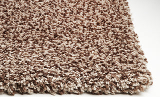 KAS Bliss 1581 Beige Heather Shag Area Rug Corner Image