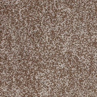 KAS Bliss 1581 Beige Heather Shag Area Rug Lifestyle Image