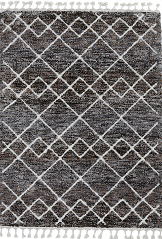 KAS Bungalow 2304 Mocha Genesis Area Rug main image