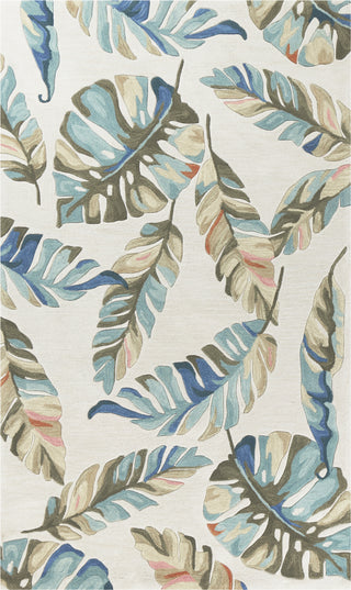 KAS Coral 4170 Ivory Palma Area Rug main image
