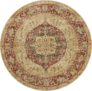 KAS Cordoba 4443 Spice Antigua Area Rug