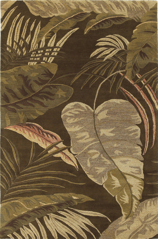 KAS Havana 2615 Mocha Rainforest Area Rug Main Image