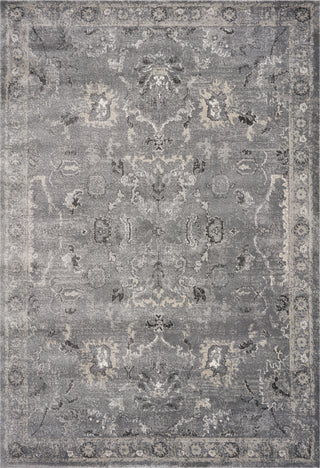 KAS Hue 4708 Grey Farrah Area Rug main image