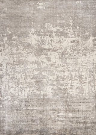 KAS Indulge 804 Beige Landscape Area Rug main image