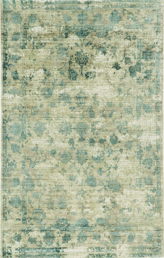 KAS Colonial 1805 LtBlue Ocean Life Area Rug Main Image