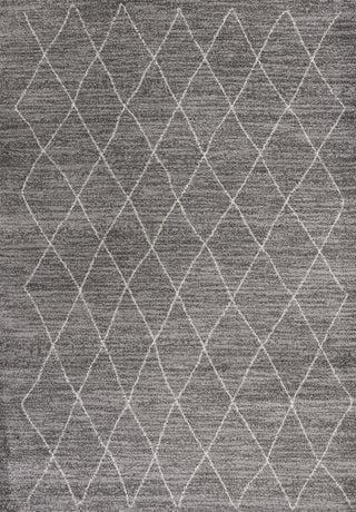 KAS Landscapes 5903 Grey Boho Area Rug main image