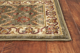 KAS Lifestyles 5470 Green/Ivory Agra Area Rug Main Image