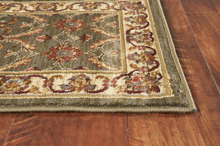 KAS Lifestyles 5470 Green/Ivory Agra Area Rug Corner Image