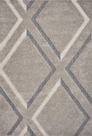 KAS Monterrey 6913 Grey Visions Area Rug main image