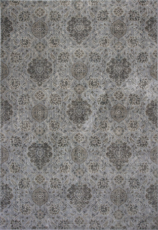 KAS Provence 8605 Silver Allover Kashan Area Rug Main Image