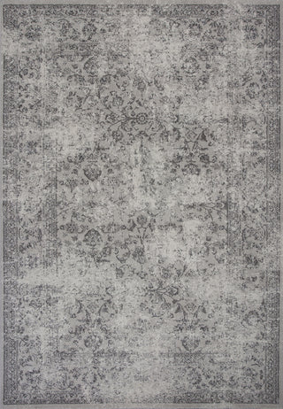 KAS Reflections 7427 Grey Vintage Area Rug Main Image