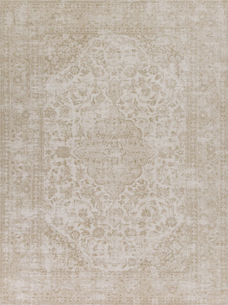 KAS Retreat 0110 Champagne Rania Area Rug main image