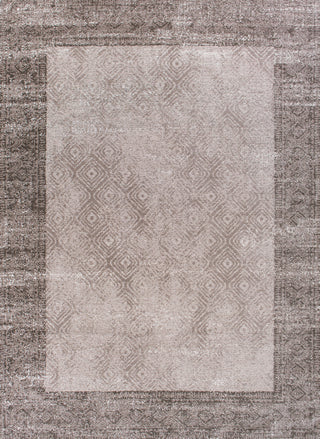 KAS Retreat 0114 Taupe Border Area Rug Main Image