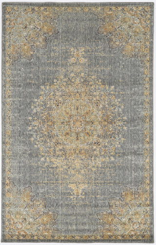 KAS Ria 6825 Slate Grey Elegance Area Rug main image