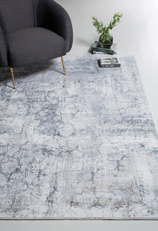 KAS Roxy 2807 Grey Tranquility Area Rug