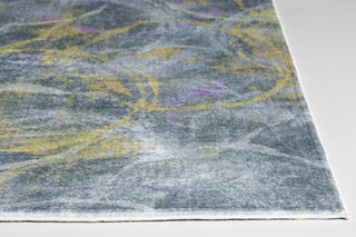 KAS Roxy 2808 Grey/Gold Visions Area Rug