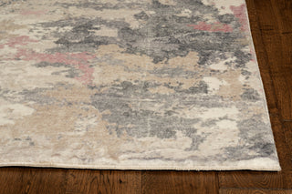 KAS Roxy 2812 Blush Landscape Area Rug main image