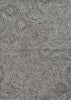 KAS Serenity 1258 Grey Playa Area Rug main image
