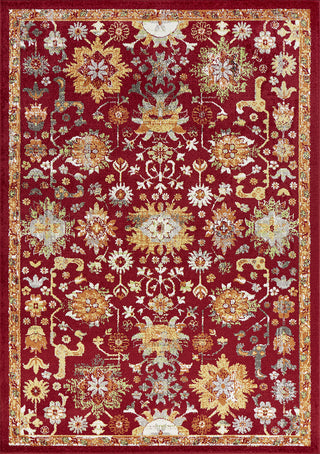 KAS Skyline 6420 Red Mackenzie Area Rug Main Image