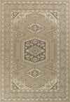 KAS Tahoe 4355 Beige Casbah Area Rug main image