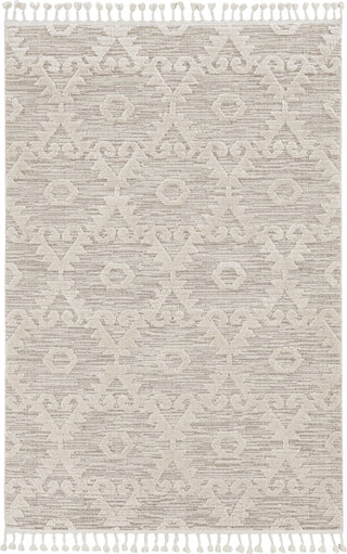 KAS Willow 1103 Ivory Beige Boho Area Rug Main Image 