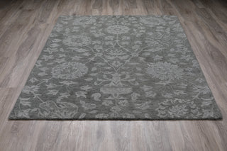 Dalyn Korba KB1 Ash Area Rug On Wood 