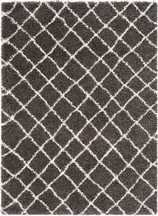 Surya Kodiak KDK-1027 Area Rug main image