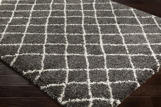 Surya Kodiak KDK-1027 Area Rug Corner Image