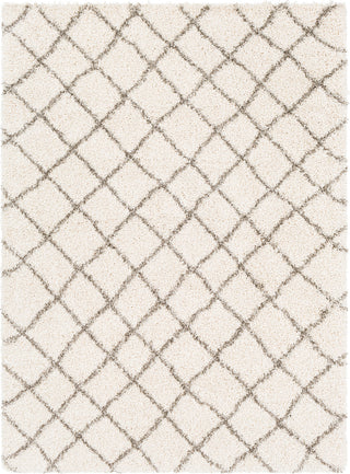 Surya Kodiak KDK-1028 Area Rug main image