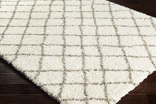 Surya Kodiak KDK-1028 Area Rug Corner Image