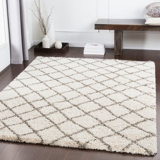 Surya Kodiak KDK-1028 Area Rug Room Image Feature