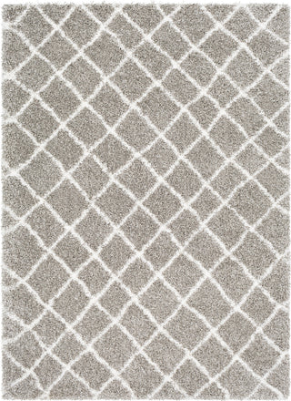 Surya Kodiak KDK-1029 Area Rug main image