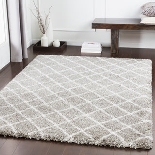 Surya Kodiak KDK-1029 Area Rug Room Image Feature