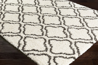 Surya Kodiak KDK-1031 Area Rug Corner Image