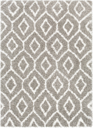 Surya Kodiak KDK-1034 Area Rug main image