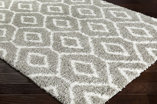Surya Kodiak KDK-1034 Area Rug Corner Image